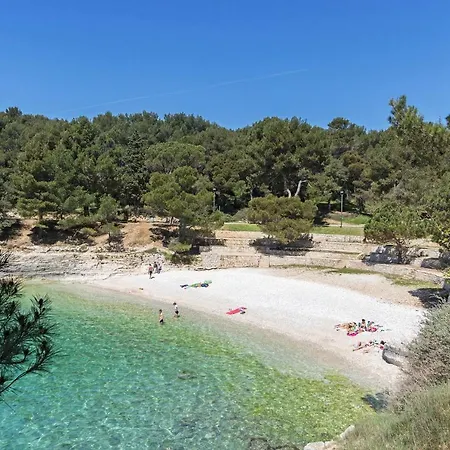 Center Big With Private Parking