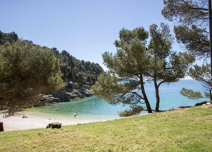 Center Big With Private Parking * プーラ