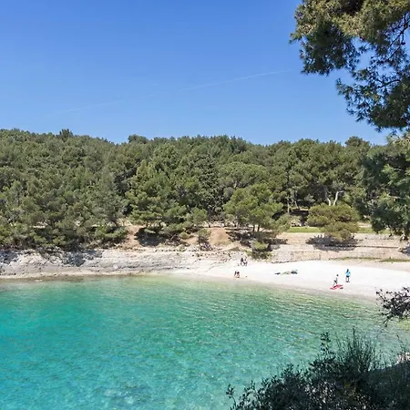 Center Big With Private Parking プーラ