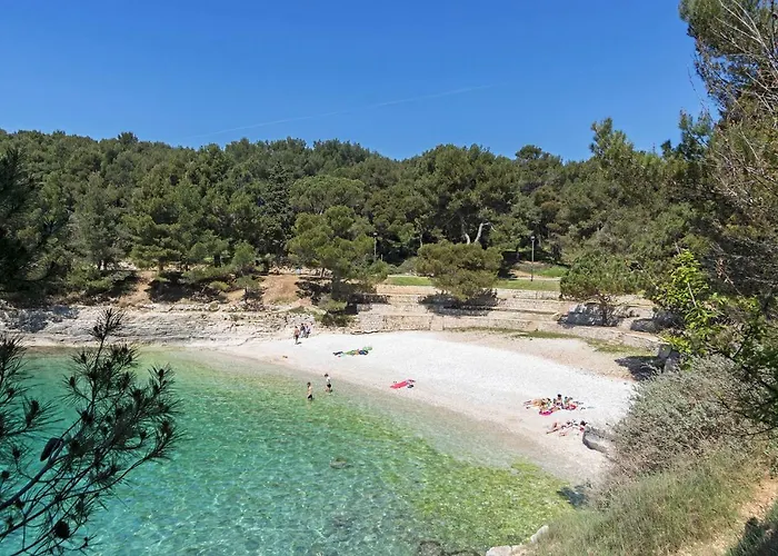 Center Big With Private Parking